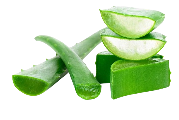 Penyedia Glutafibe Asli