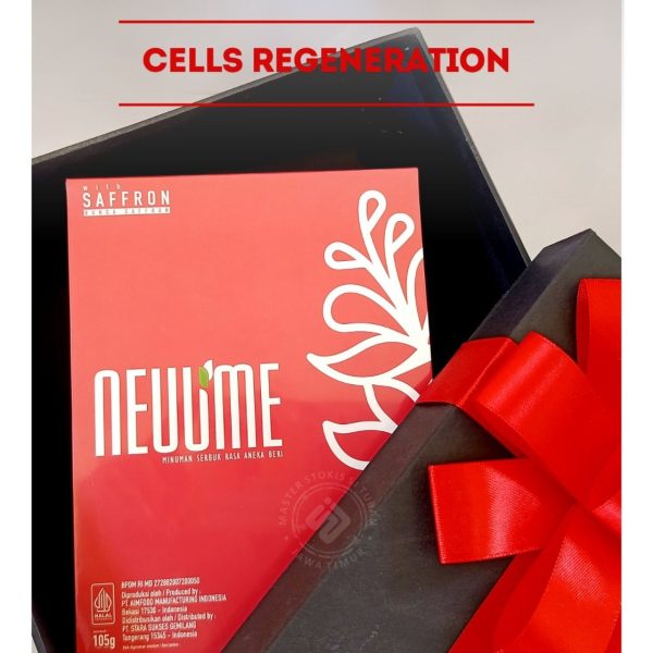 WhatsApp Image 2024-10-04 at 14.59.11 (1)